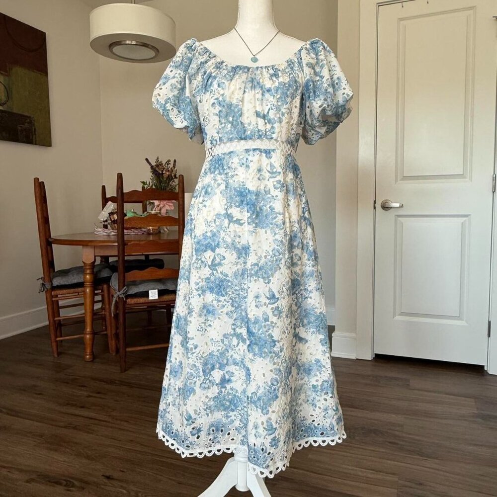 Blue & White Chinoiserie Print Maxi Dress